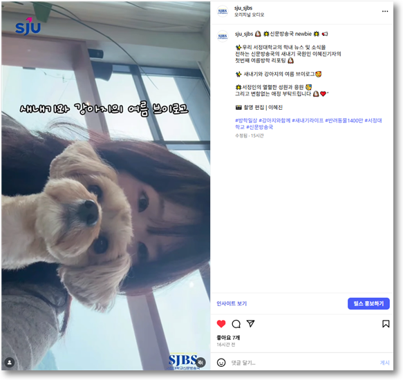 SJBS NEWBIE | 새내기와 강아지의 여름 브이로그!